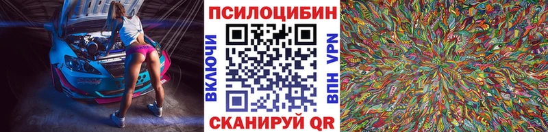 Купить  Каменск-Шахтинский  Псилоцибиновые грибы мицелий 